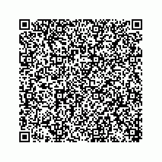 vCard 78449341113