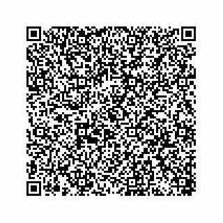 vCard 78449341177