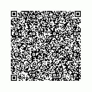vCard 78449341181