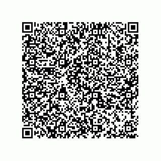 vCard 78449652479
