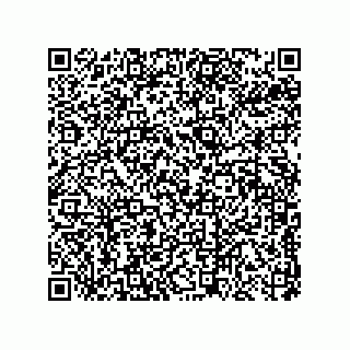vCard 78449652729