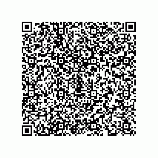 vCard 78449652781