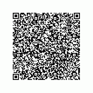 vCard 78452000080