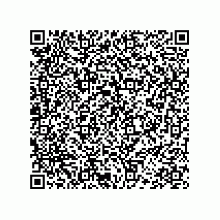 vCard 78452200101