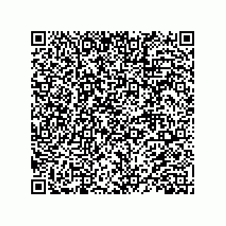 vCard 78452213409