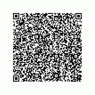 vCard 78452339979