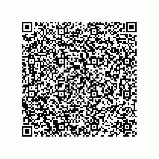 vCard 78452420041