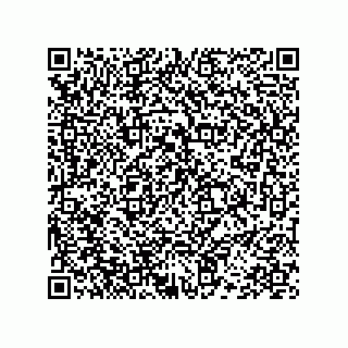 vCard 78452420311