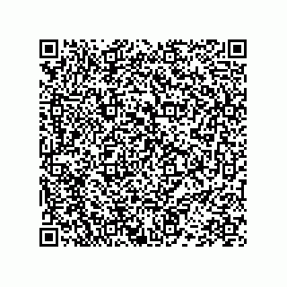 vCard 78452420313