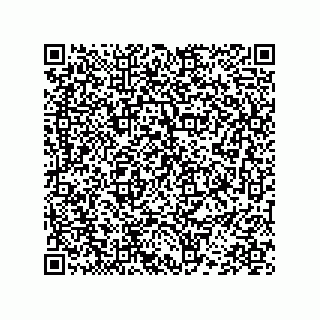 vCard 78452420381
