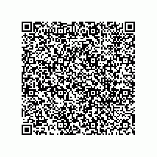 vCard 78452497999