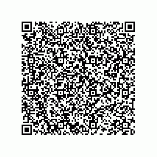 vCard 78452498003