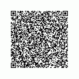 vCard 78452498008