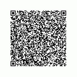 vCard 78452498029