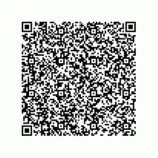 vCard 78452499739