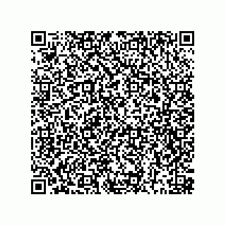 vCard 78452659729