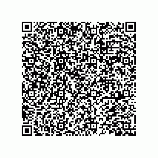 vCard 78452659793