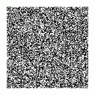 vCard 78452659881