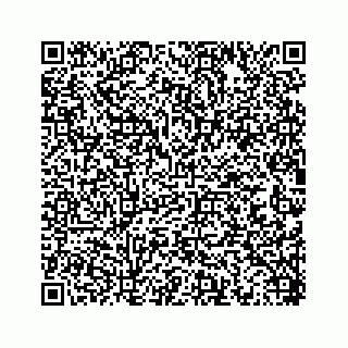vCard 78452739208