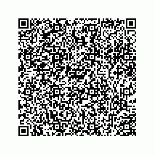 vCard 78452739219