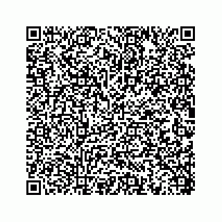 vCard 78452739220