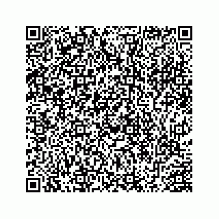vCard 78452739250