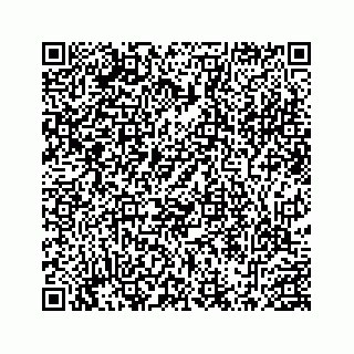 vCard 78452739260