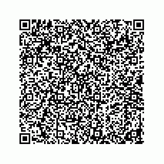 vCard 78452739285
