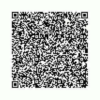 vCard 78452739286
