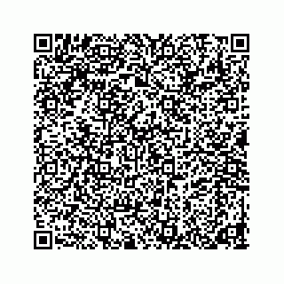 vCard 78452739298