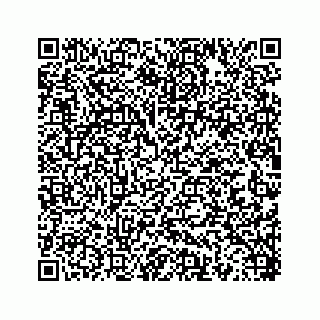 vCard 78452739299