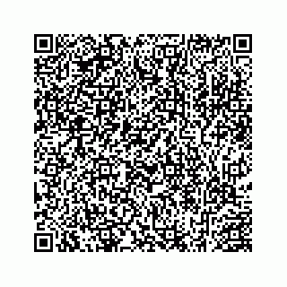 vCard 78452739333