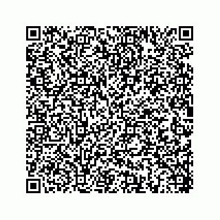 vCard 78452739334