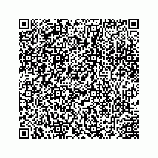 vCard 78452739381
