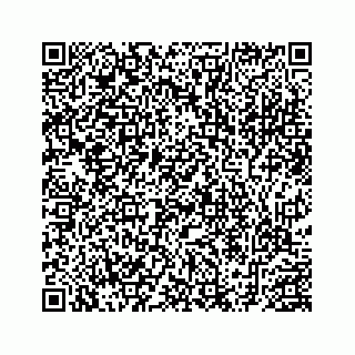 vCard 78452739384