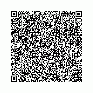 vCard 78452739387