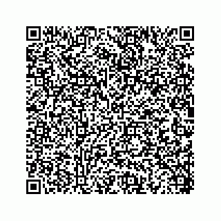 vCard 78452739399