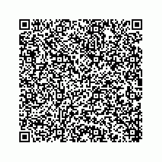 vCard 78452739400