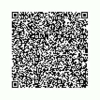 vCard 78452739409