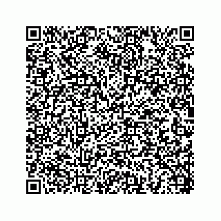 vCard 78452739411