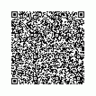 vCard 78452739529