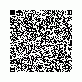 vCard 78452739535