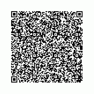 vCard 78452739541
