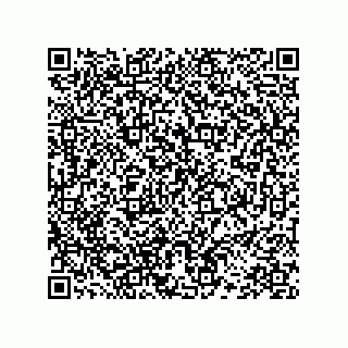 vCard 78452759313