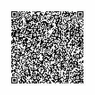 vCard 78452999033