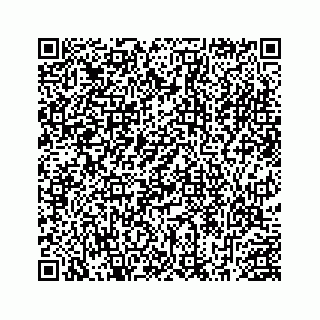 vCard 78452999037