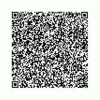 vCard 78452999041