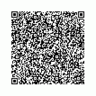 vCard 78452999087