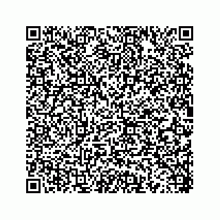 vCard 78452999095