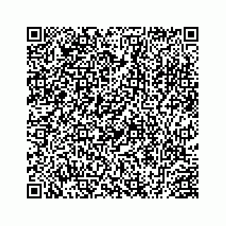 vCard 78452999113